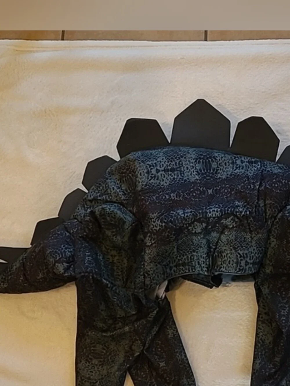 Stegosaurus Costume XL